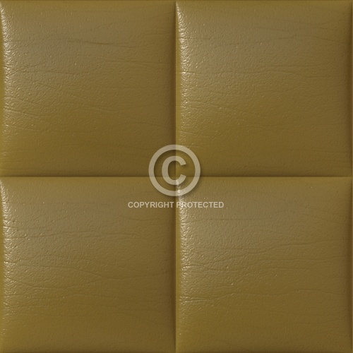Leather Upholstery 05