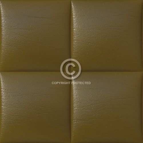 Leather Upholstery 06