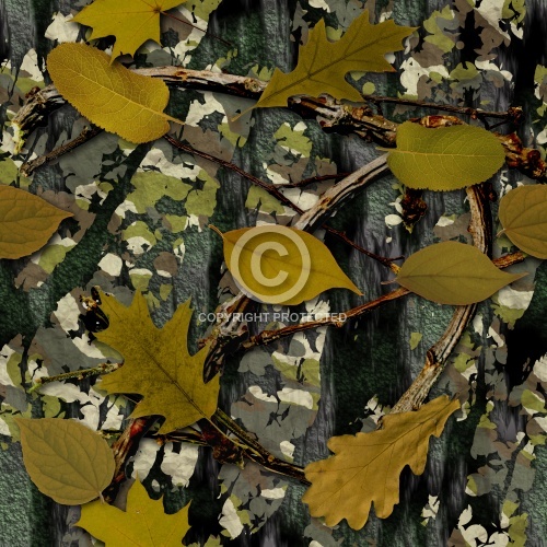 Natural Camouflage 01