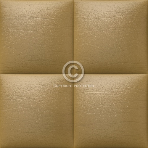 Leather Upholstery 01