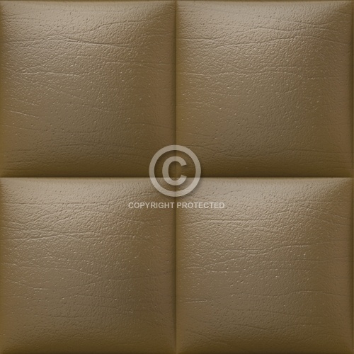 Leather Upholstery 02
