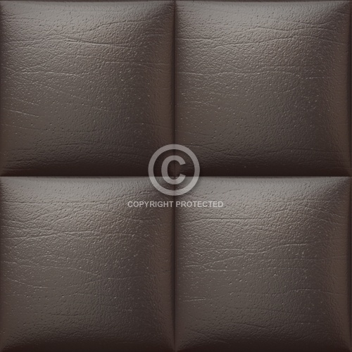 Leather Upholstery 03