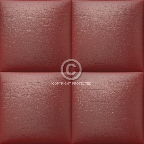 Leather Upholstery 15