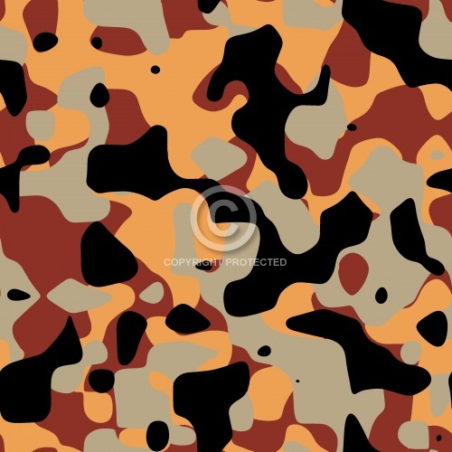 Classic Camouflage 10