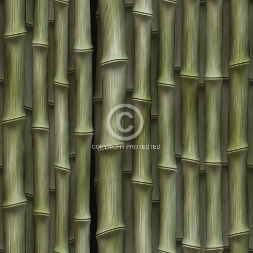 Bamboo 04