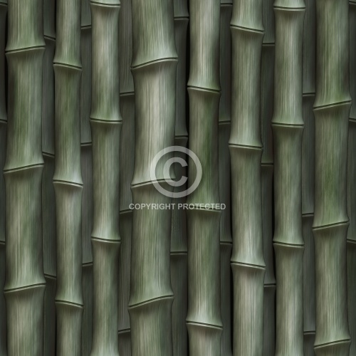 Bamboo 07