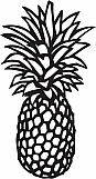 Pineapple 01