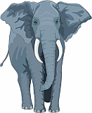 Elephant 05