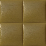 Leather Upholstery 05
