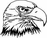 Eagle 06