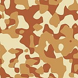 Classic Camouflage 18