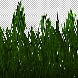 Grass 14