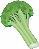 Broccoli 01