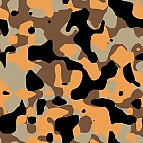 Classic Camouflage 09