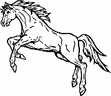 Horse 06