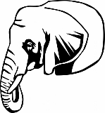 Elephant 03