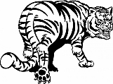 Tiger 08