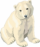 Bear 04