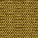 Honeycomb 02