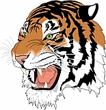 Tiger 09