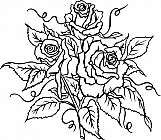 Roses 03