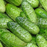 Pickles 01