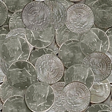Coins 05