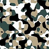 Classic Camouflage 12