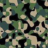 Classic Camouflage 13