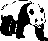 Panda Bear 01