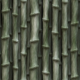 Bamboo 07