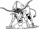 Bull 03