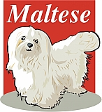 Maltese 03