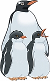 Penguin 03