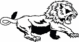 Lion 12