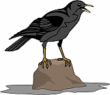 Crow 01