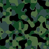 Classic Camouflage 14