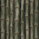 Bamboo 08