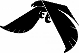 Eagle-Falcon Symbol 01