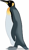Penguin 04