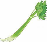 Celery 01
