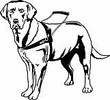 Guide Dog 01