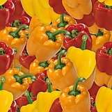 Bell Peppers 04