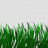 Grass 11