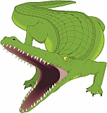 Alligator 03