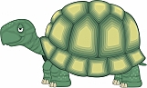 Turtle 03