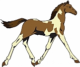Horse 12