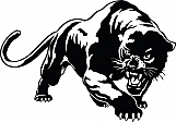 Panther 02