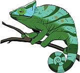 Chameleon 01
